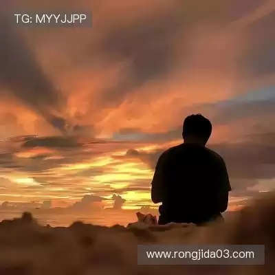 明锦柳